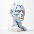 The Fragmented Bust